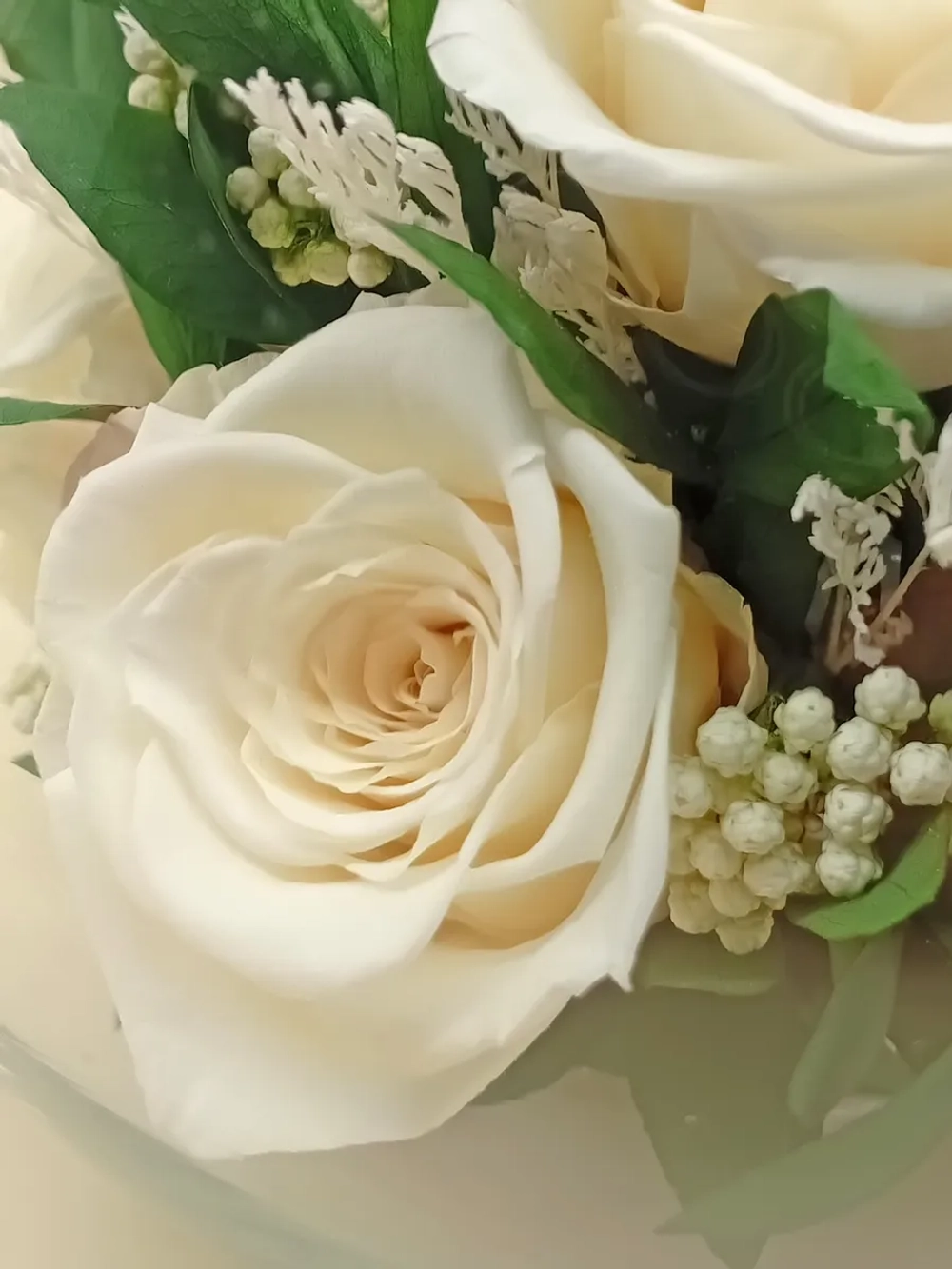 натуральные кустовые розы в стекле, вакуум