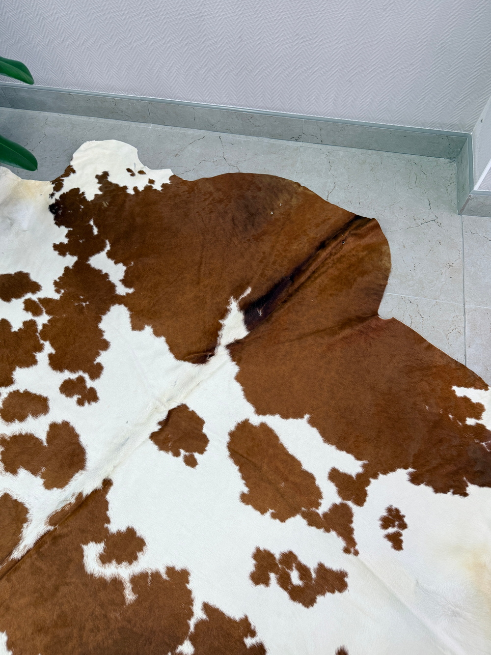 Коровья шкура на пол натуральная. 200 х 190 см