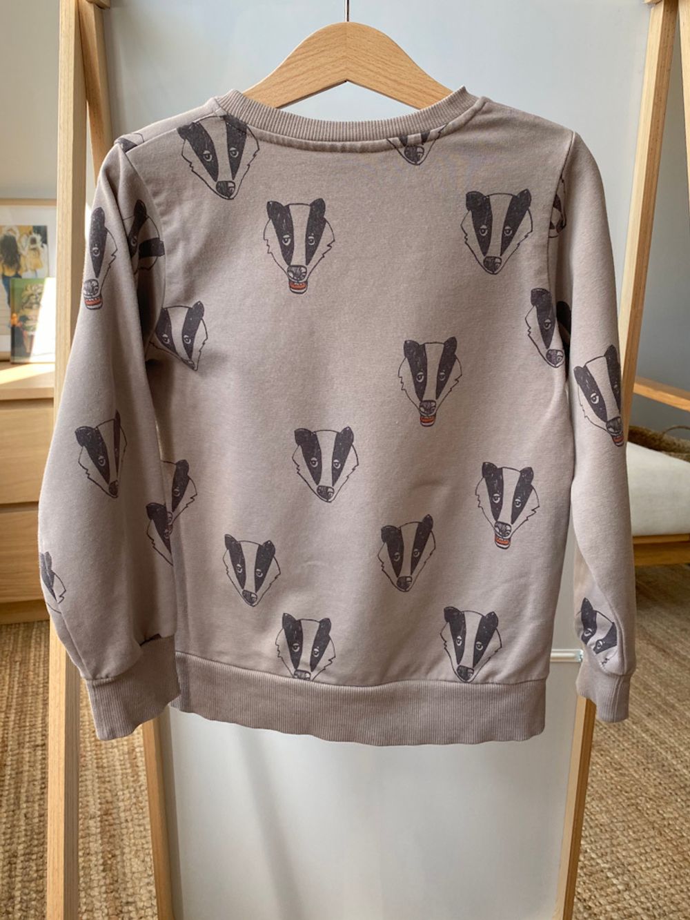 Свитшот Mini Rodini, 110