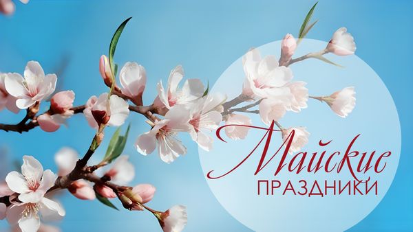График работы в праздничные дни / Май 2025