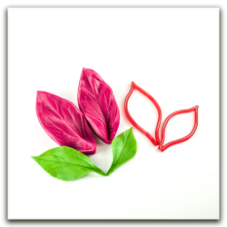 Лист пиона XL