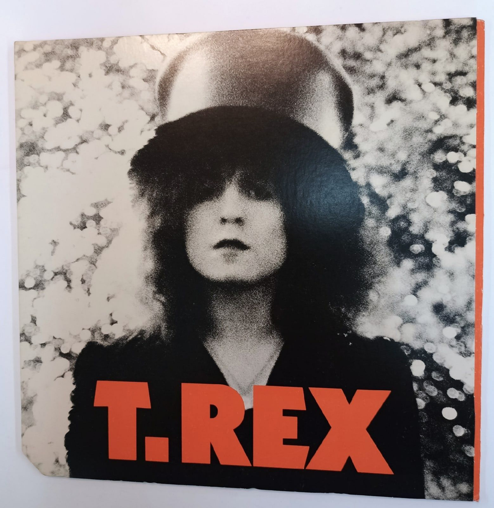 Винтажная виниловая пластинка T. Rex The Slider (USA 1975)