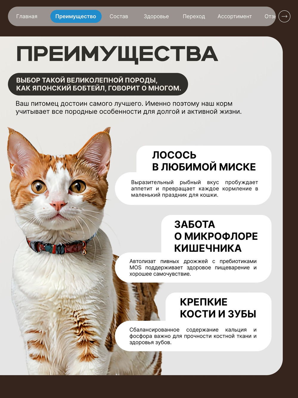 Корм сухой для взрослых кошек породы Японский бобтейл, с лососем, 400 гр, QUATTRO