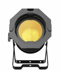 ACME STAGE PAR 100 IP WW - светодиодный прожектор Par, 100Вт