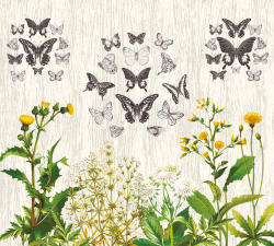 Коллекция Chinoiserie