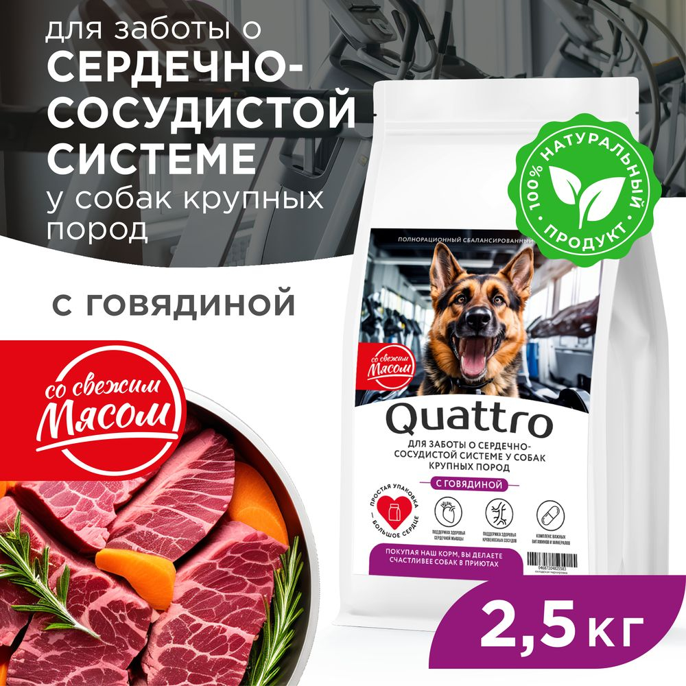 Корм сухой для взрослых собак крупных пород, премиум полнорационный комплекс, для заботы сердечно-сосудистой системы, с говядиной, 2,5 кг, QUATTRO