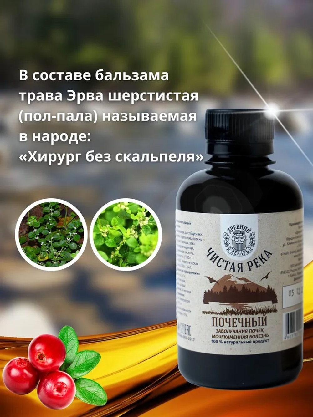 Настойка для лечения почек