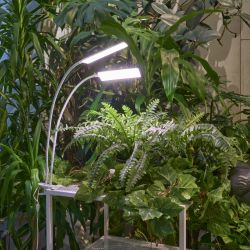 ULT-P37-24W-SPFR-TM-60 IP40 WHITE TWIN Светильник для растений светодиодный с таймером. на прищепке. Спектр для фотосинтеза. TM Uniel