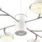 Люстра Lumion TORINA 8265/12
