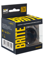 BRITE Розетка 1-местная с заземлением с защитными шторками 16А с USB A+A 5В 2,1А РЮш10-1-БрТБ темная бронза IEK