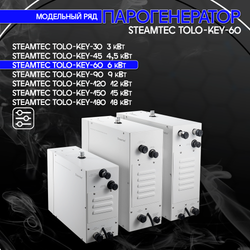 Steamtec TOLO KEY 60 - 6 кВт (ВЛАГОСТОЙКИЙ модуль управления), парогенератор для хамама и турецкой бани
