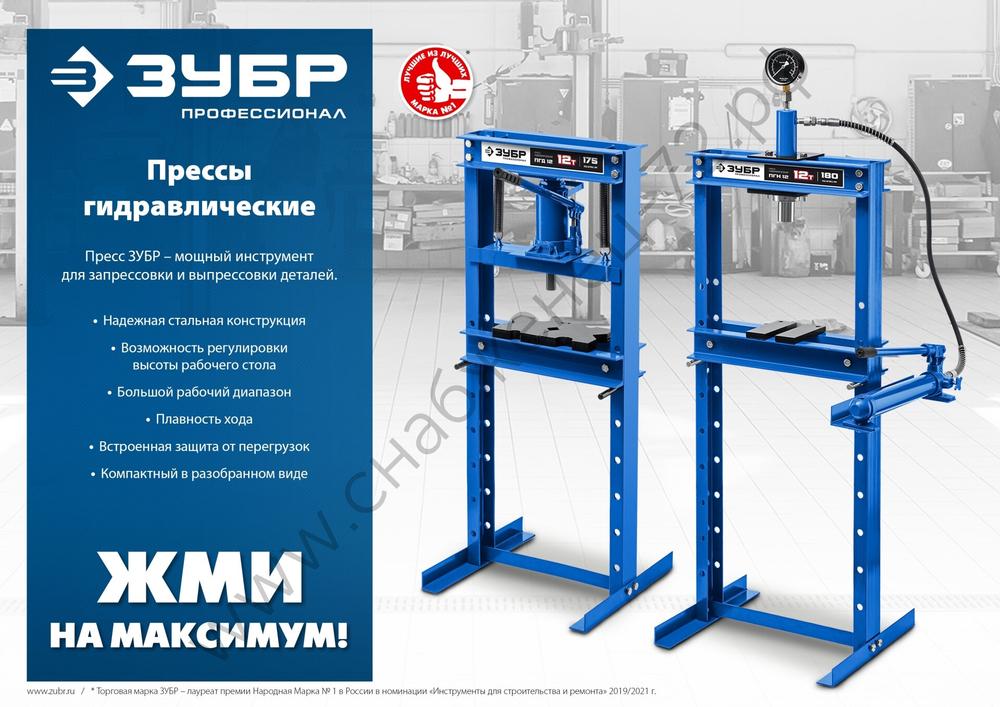 ЗУБР ПГН-10, 10 т, гидравлический пресс с гидронасосом и манометром, Профессионал (43072-10)