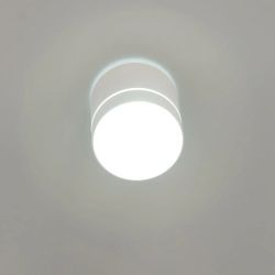 Citilux Борн CL745020N LED Светильник накладной Белый