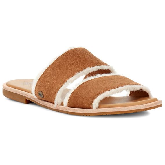 Ugg Thong Sandal 'Chestnut Brown'