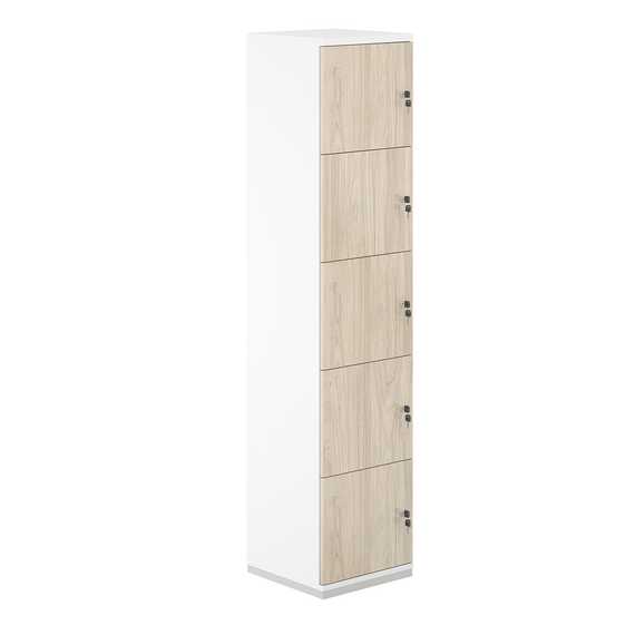 Локер Аллегро 5 яч 400х400х1833 AG.232