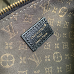 Louis Vuitton Multipass