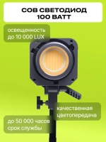 Осветитель светодиодный Raylab RL-100LED 2700-6500K с пультом
