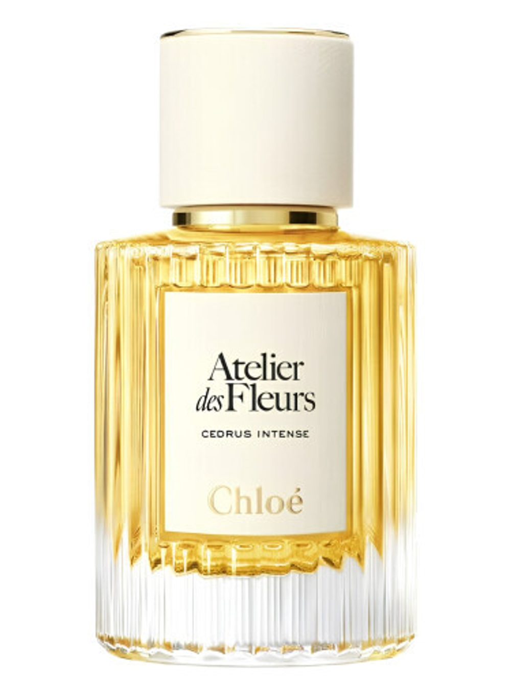 Chloé Cedrus Intense