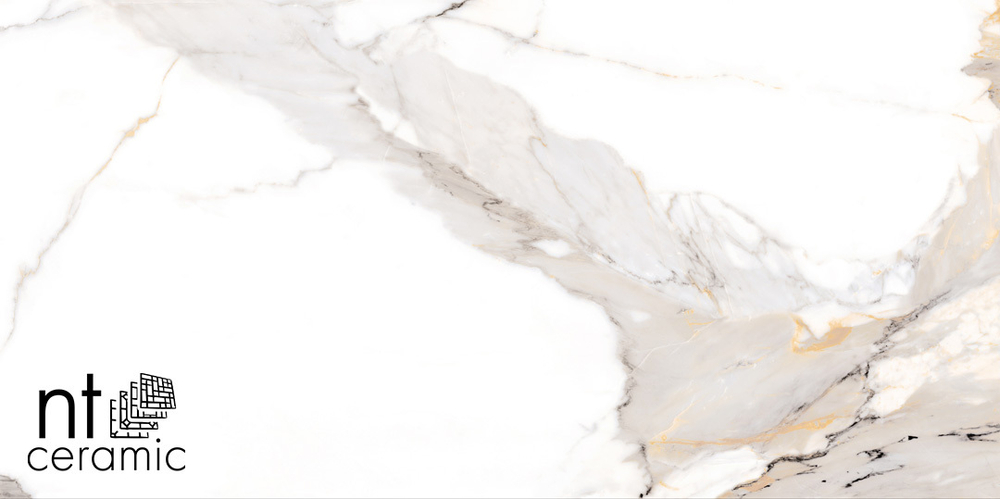 Керамогранит Calacatta Light Grey NTT9121P 600*1200мм полированная
