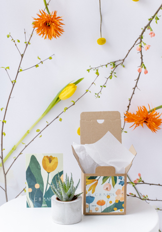 Растения в кашпо