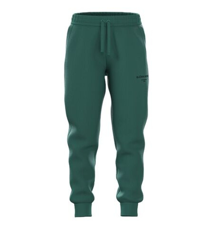 Детские теннисные брюки Bj_rn Borg Essential 1 - posy green