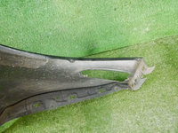 DSCN5784.jpg