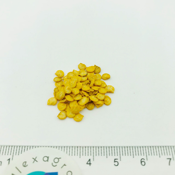 ХАСКИ F1 семена перца сладкого (Enza Zaden | Alexagro) – фото 9