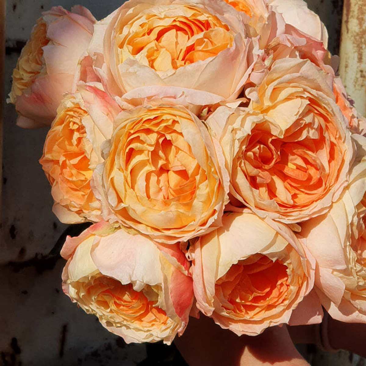 Принсес Айко — букет японских садовых роз