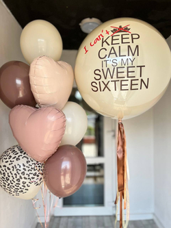 Воздушные шары №669