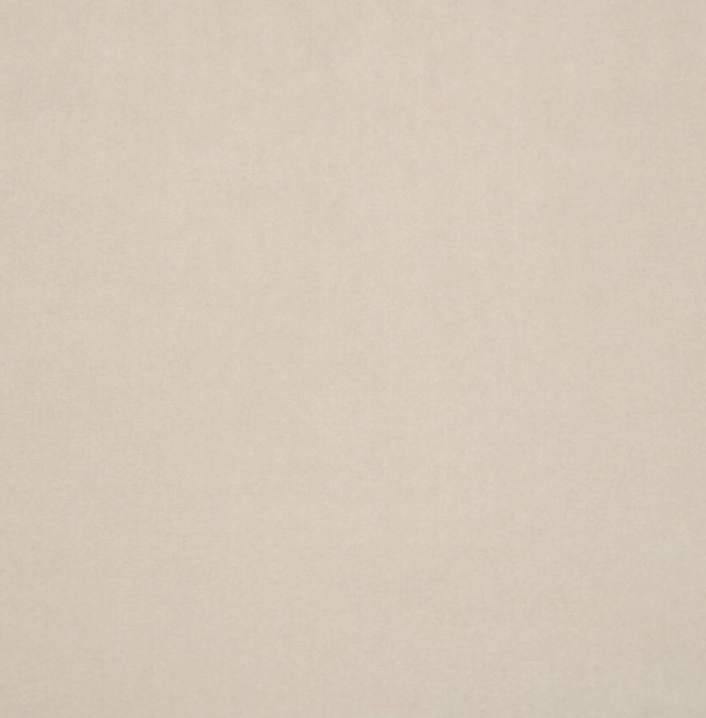 Микровелюр Бэст 10