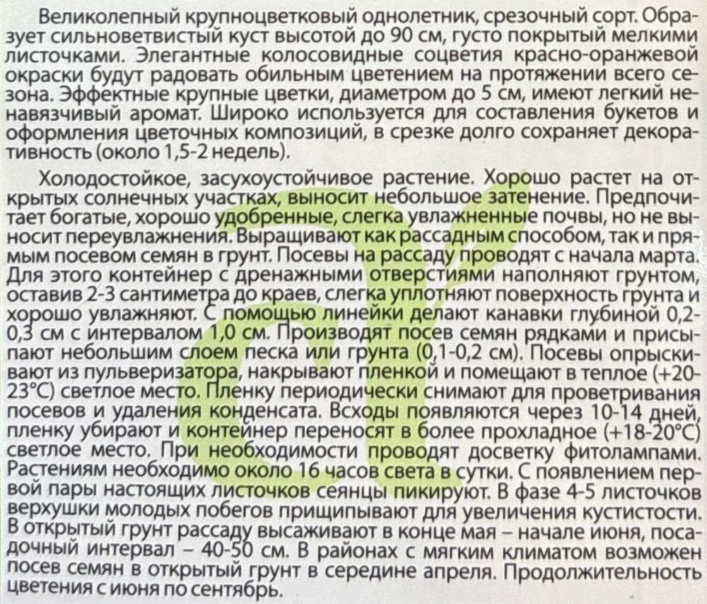 Львиный зев Оранжевый сфинкс 0,2 г СМЦ-536