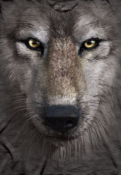 Wolf Face