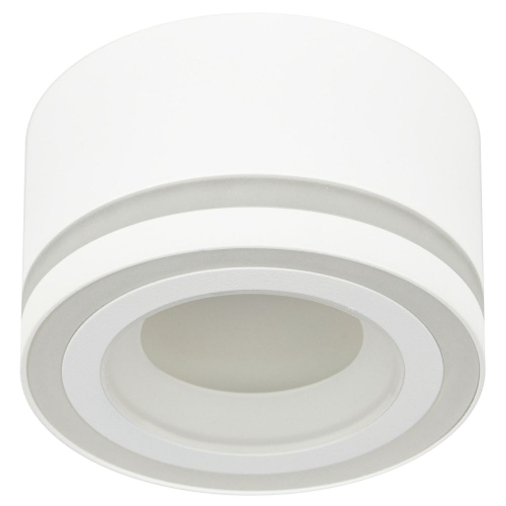 Светильник настенно-потолочный спот ЭРА OL51 WH GX53 IP20 белый