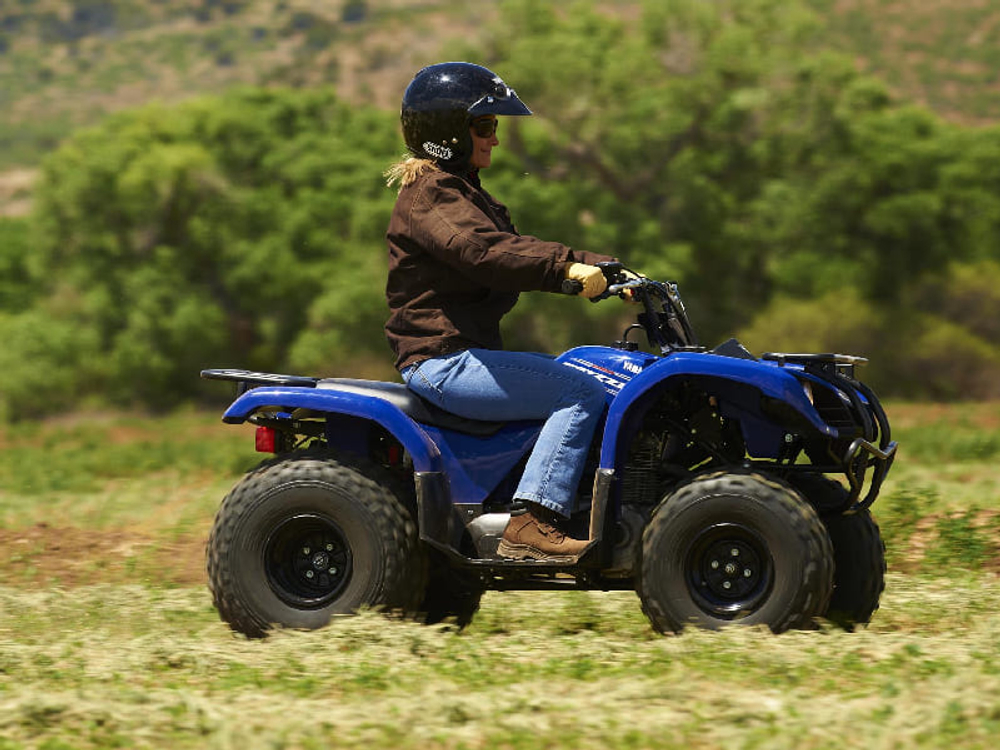 Квадроцикл GRIZZLY 125