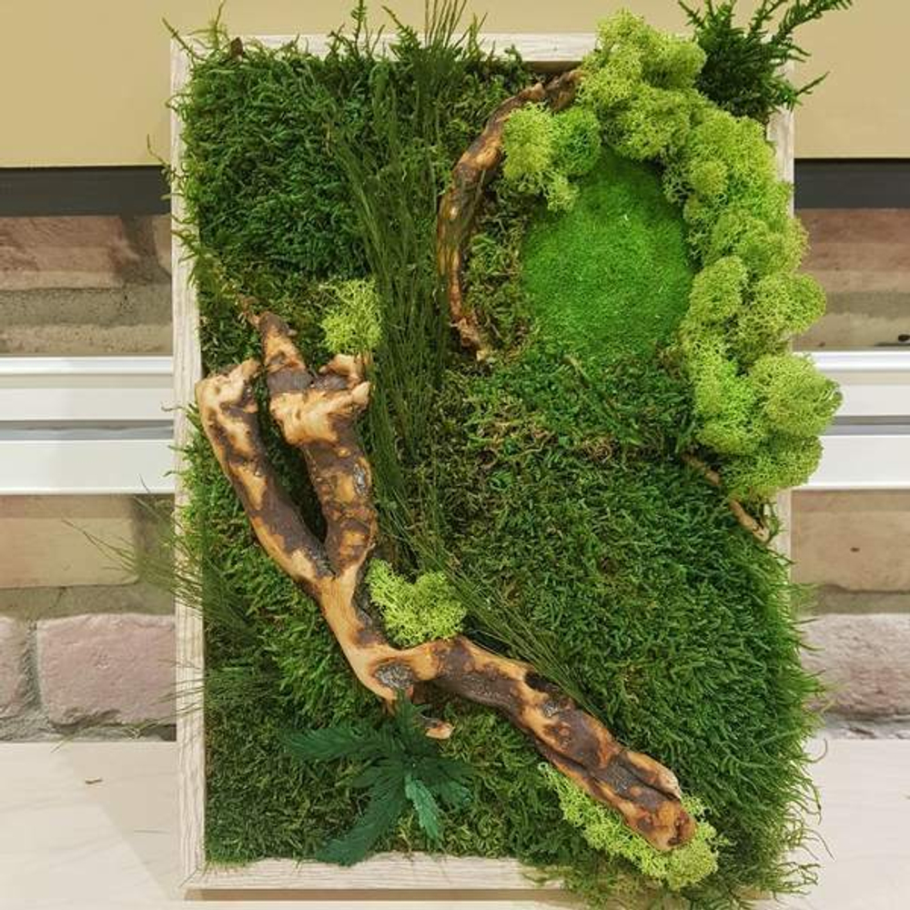 Авторский мастер-класс по созданию фитокартины «More Moss» от Евгения Хомутова | 05.06.21 | СБ | 12:00 - 15:00