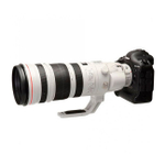 Canon EF 200-400mm f/4L IS USM Extender 1.4X_4