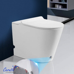 Унитаз приставной Ceruttispa АРГЕНТЕРА (ARGENTERA) Pulse CT7267 с функцией импульсного смыва (600х350х410)