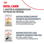 Royal Canin Golden Retriever Корм сухой для взрослых собак породы Голден Ретривер 3 кг