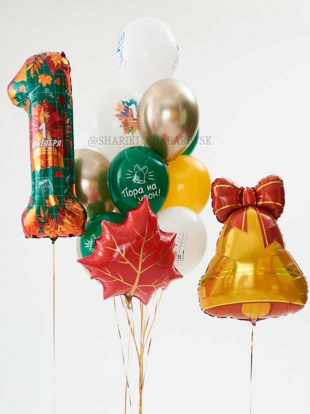 Воздушные шары на 1 сентября «Пора на урок!» №1/64