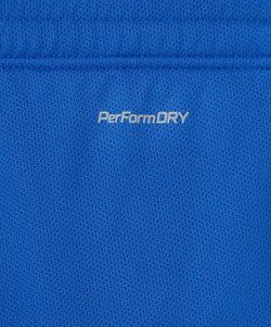 Шорты баскетбольные DIVISION PerFormDRY RBF 2S Shorts, синий