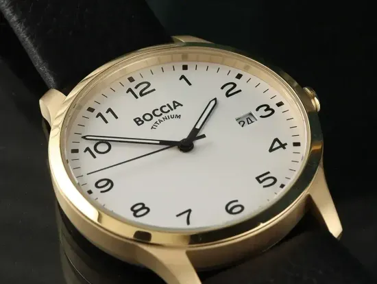 Мужские наручные часы Boccia Titanium 3620-08