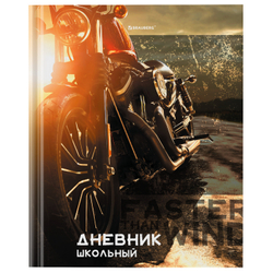 Дневник 5-11 класс 48 л., твердый, BRAUBERG, глянцевая ламинация, с подсказом, "Байк", 106867