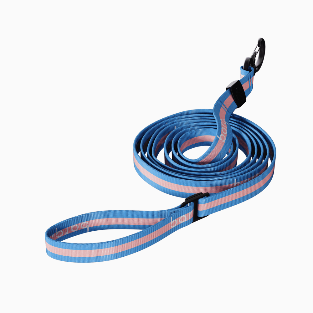 Поводок Stripes