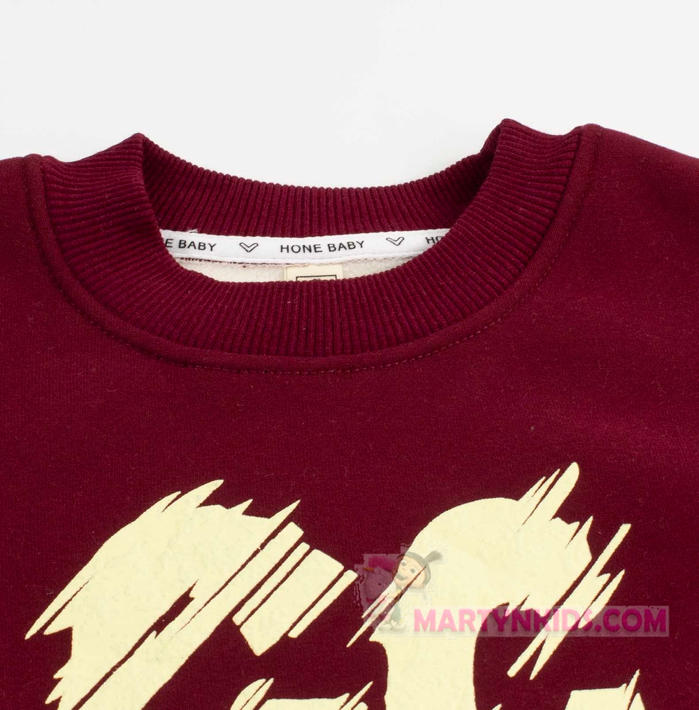 теплый костюм GC AHOLIDAY  плис  4863