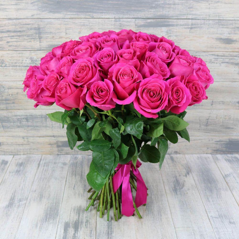 Малиновые розы Эквадор 50см