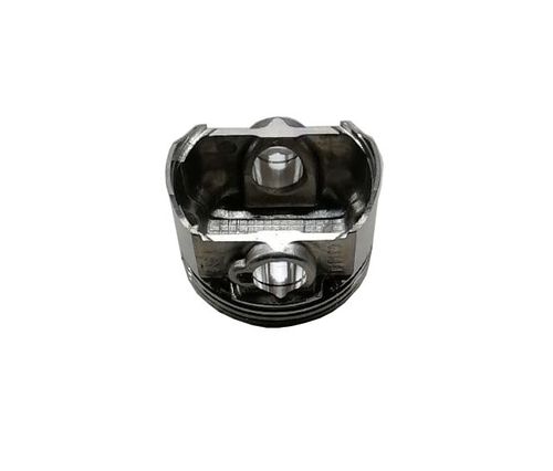 Поршень G210FA/130030208-0001