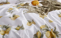 Постельное белье ЕВРО (двуспалка) Египетский Хлопок Лимоны на белом