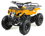 Квадроцикл MOTAX ATV Grizlik Lux 125cc