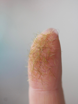 Флок бежевый (морозная трава)