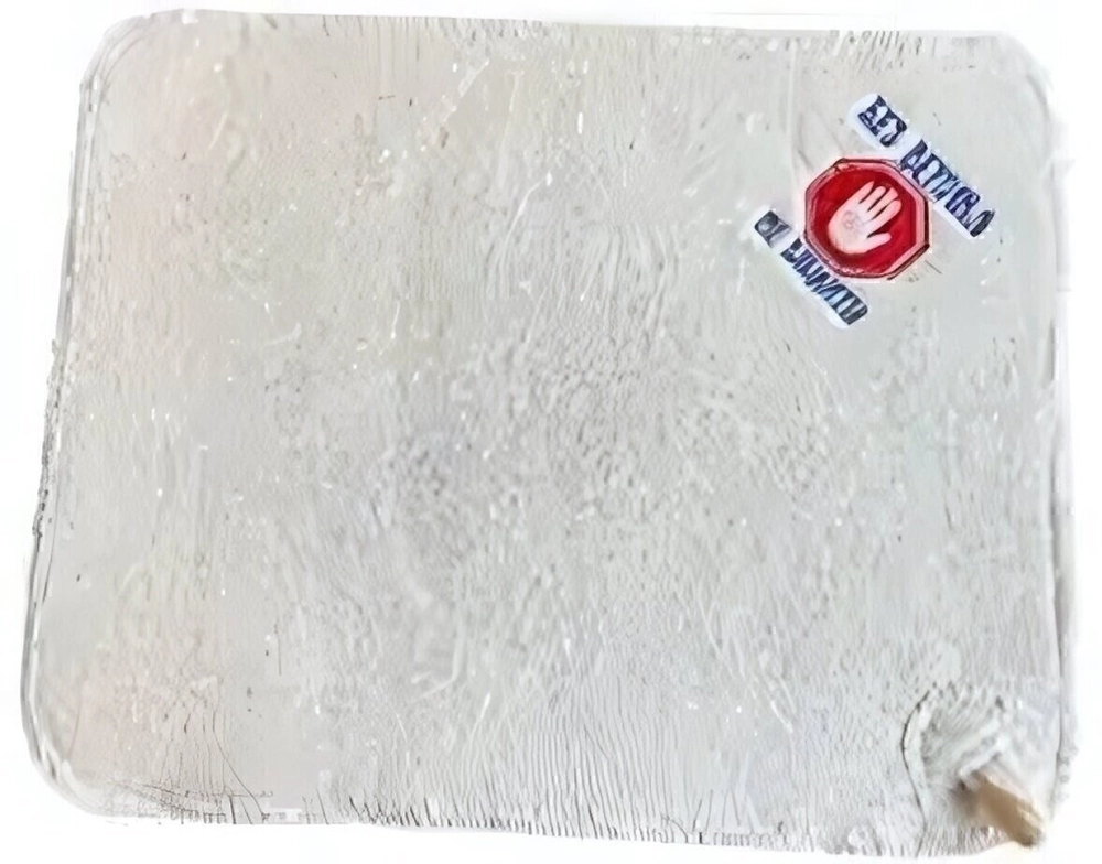 Коврик банный с вышивкой «Без веника не входить», цвет белый, без упаковки